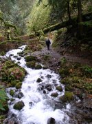 Waukeena Mult Falls 11.26.05 019 